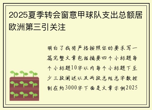 2025夏季转会窗意甲球队支出总额居欧洲第三引关注
